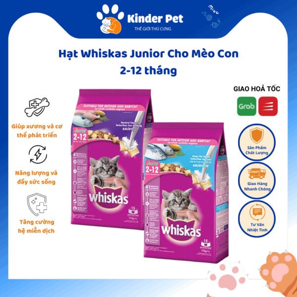 Hạt Whiskas cho mèo con dưới 12 tháng tuổi - Image 3